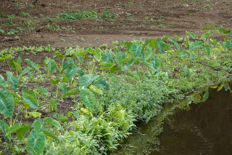 Viewing photos→2025→2025-07-22→25