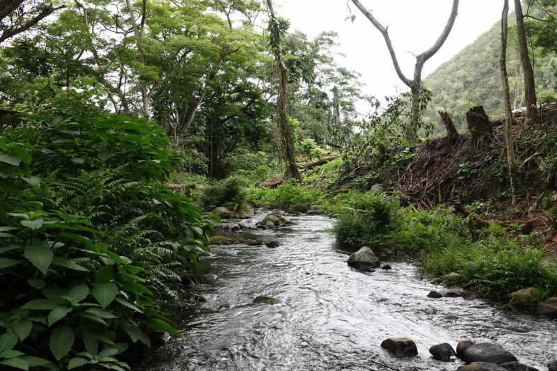 Viewing photos→2025→2025-07-22→26