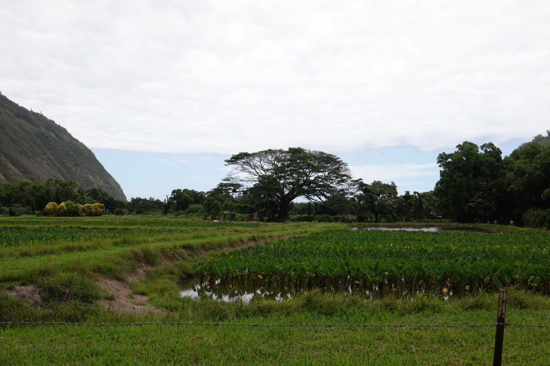 Viewing photos→2025→2025-07-22→28