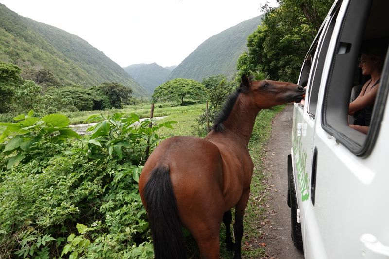 Viewing photos→2025→2025-07-22→33