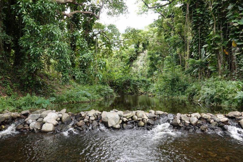 Viewing photos→2025→2025-07-22→36