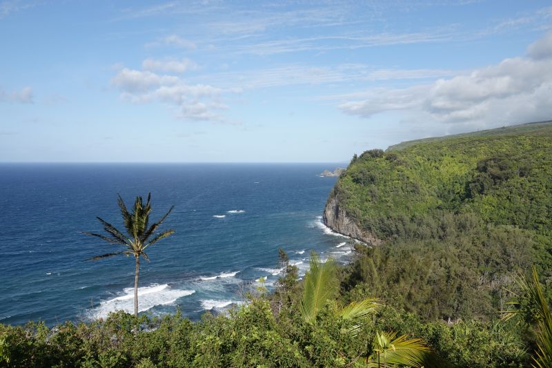 Viewing photos→2025→2025-07-22→41