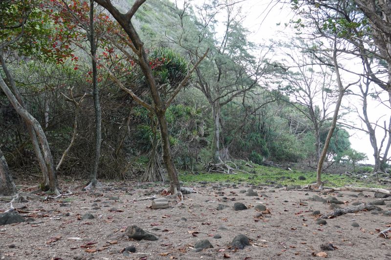 Viewing photos→2025→2025-07-22→45