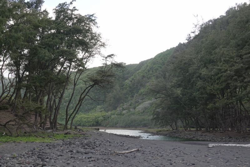 Viewing photos→2025→2025-07-22→47