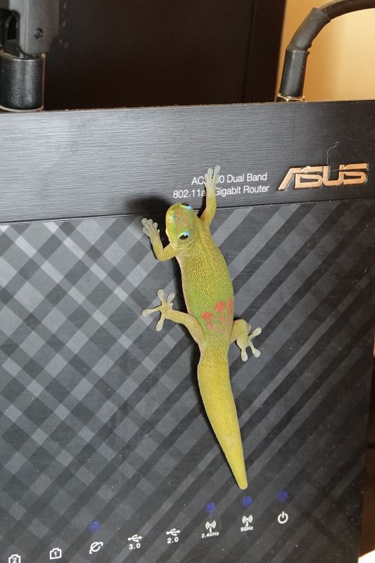 Viewing photos→2025→2025-07-22→50