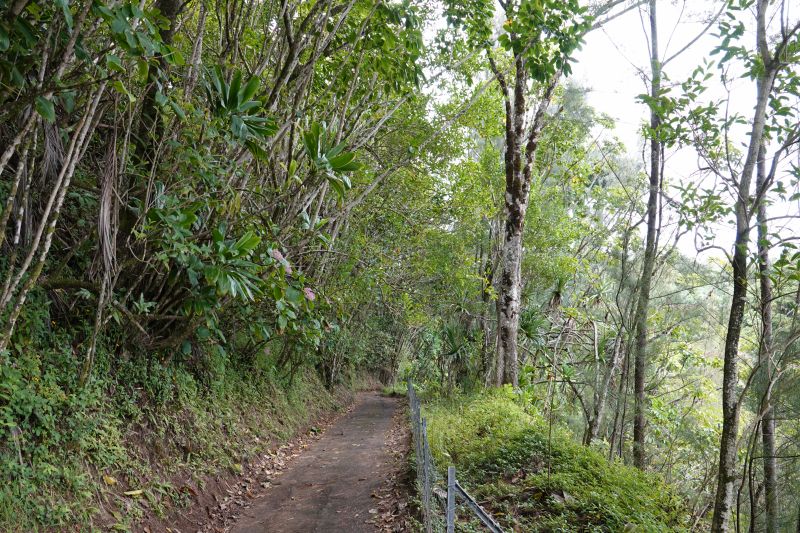 Viewing photos→2025→2025-07-22→55