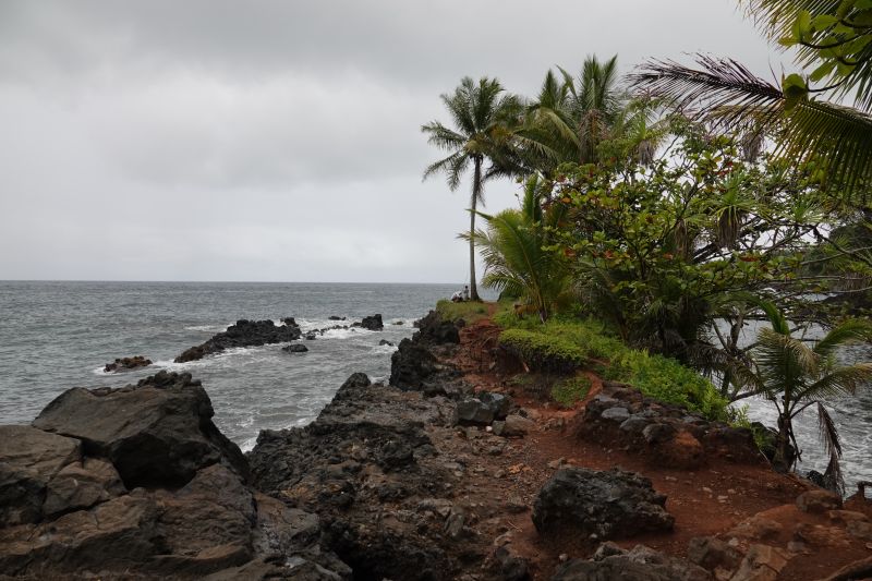 Viewing photos→2025→2025-07-22→58