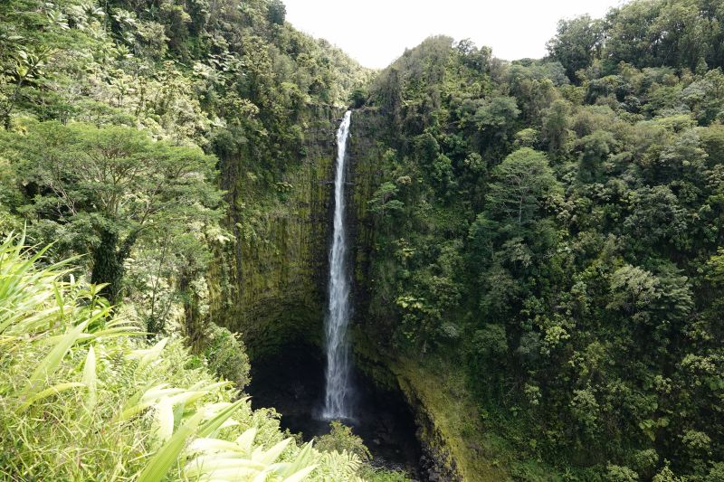 Viewing photos→2025→2025-07-22→61