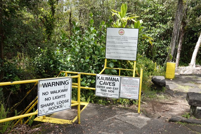 Viewing photos→2025→2025-07-22→63