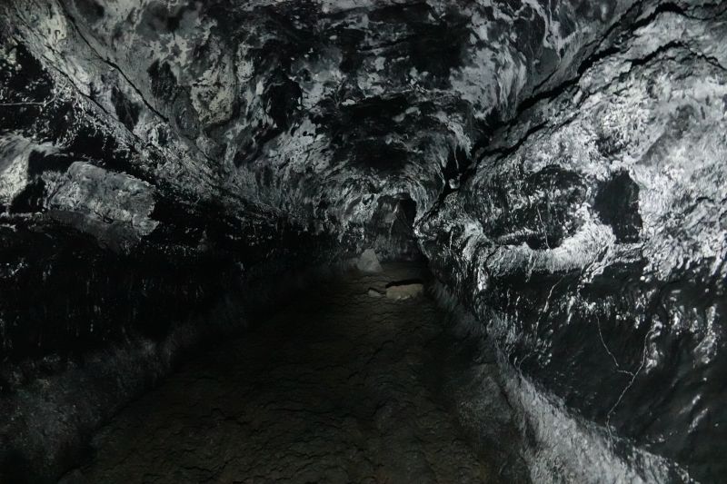 Viewing photos→2025→2025-07-22→65