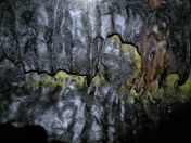 67.jpg - 2025:07:28 15:03:42