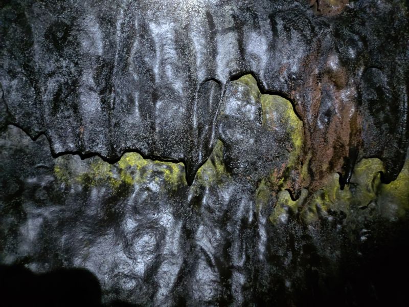 Viewing photos→2025→2025-07-22→67