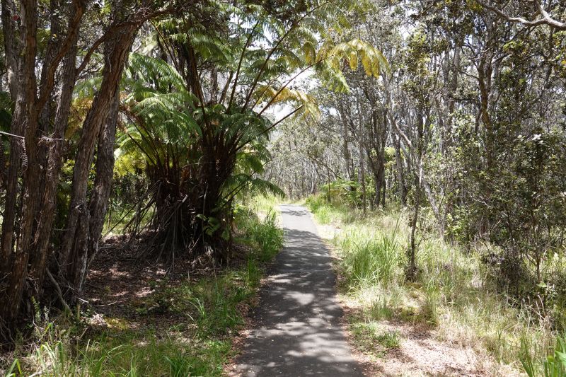 Viewing photos→2025→2025-07-24→13