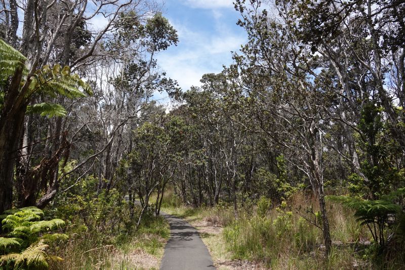 Viewing photos→2025→2025-07-24→14