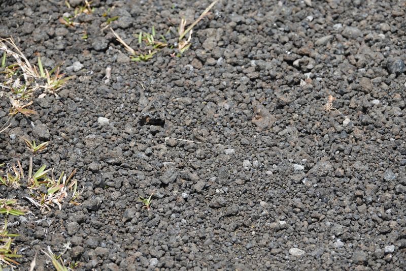 Viewing photos→2025→2025-07-24→16