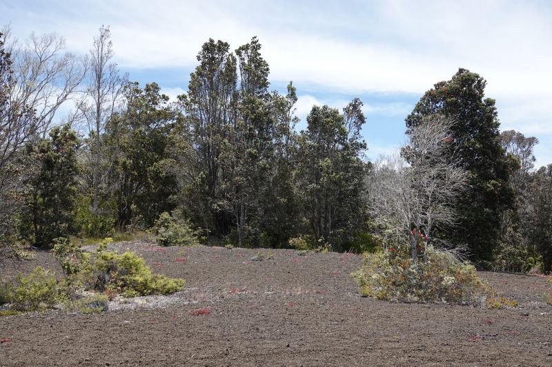 Viewing photos→2025→2025-07-24→19