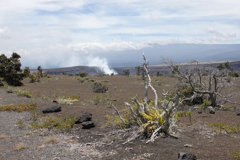 Viewing photos→2025→2025-07-24→24