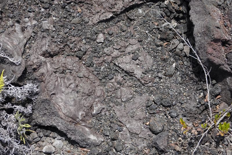 Viewing photos→2025→2025-07-24→29