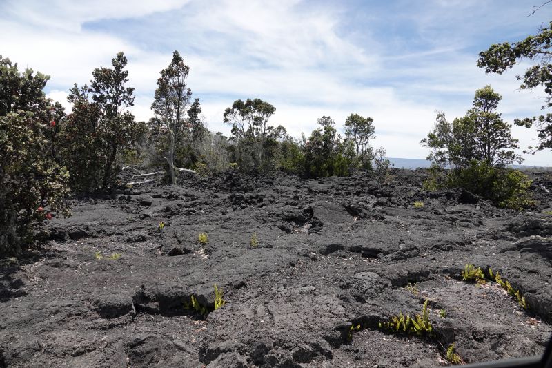 Viewing photos→2025→2025-07-24→35