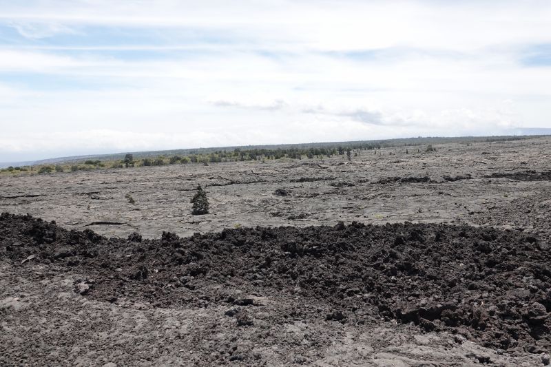 Viewing photos→2025→2025-07-24→38