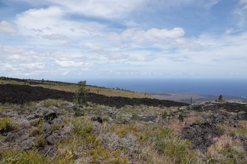 Viewing photos→2025→2025-07-24→41