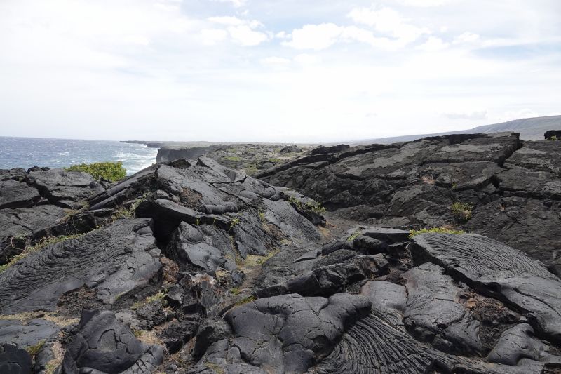 Viewing photos→2025→2025-07-24→42