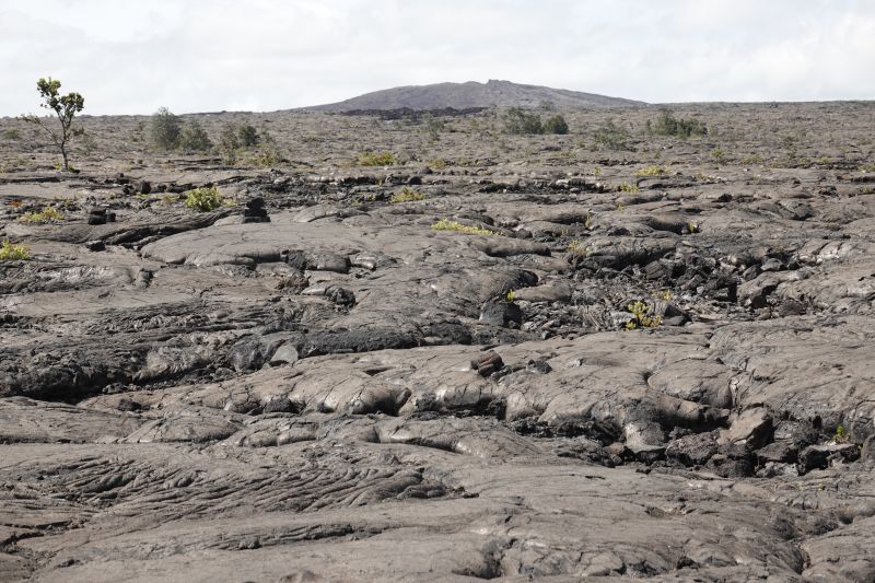 Viewing photos→2025→2025-07-24→45