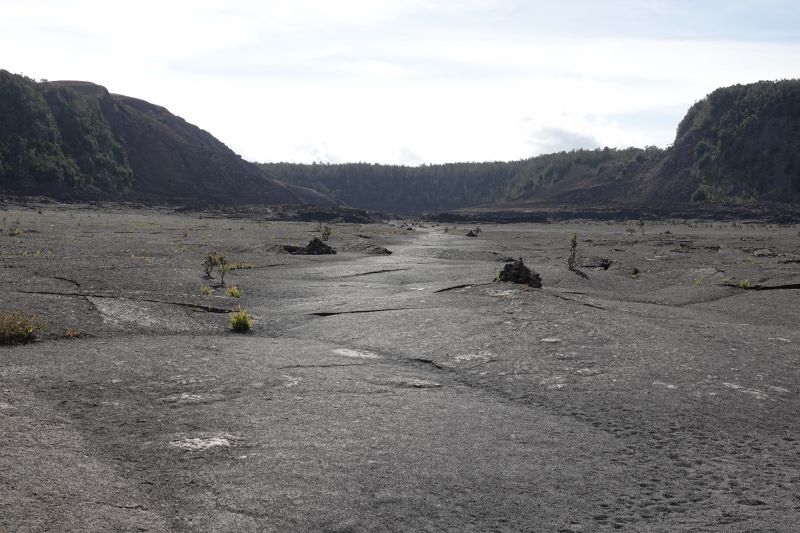 Viewing photos→2025→2025-07-24→52