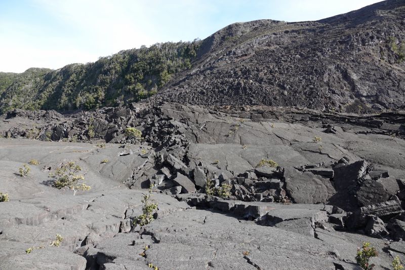 Viewing photos→2025→2025-07-24→57