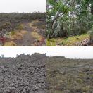2025-07-25<br/>
<b>Humuʻula Saddle, Hawaiʻi</b>

