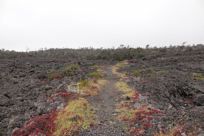 Viewing photos→2025→2025-07-25→01