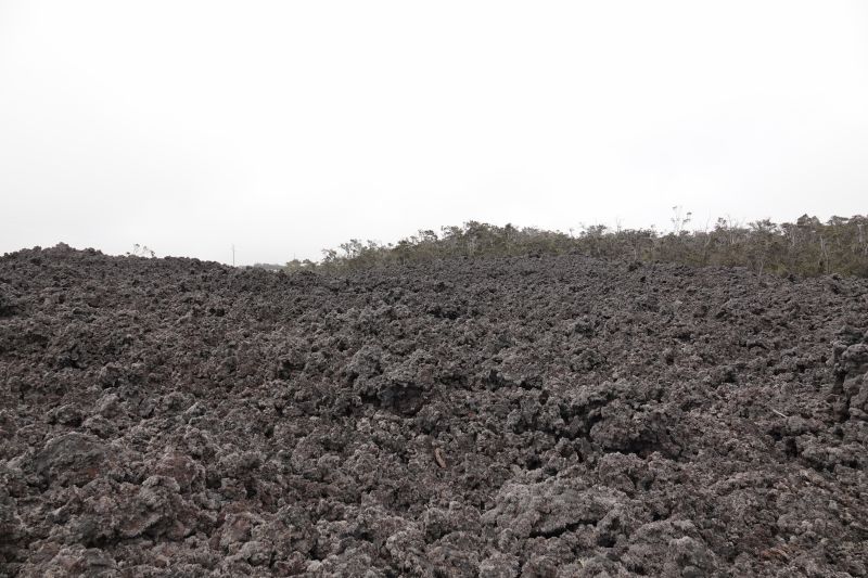 Viewing photos→2025→2025-07-25→02