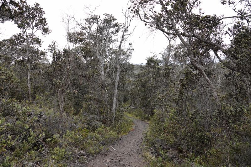 Viewing photos→2025→2025-07-25→04