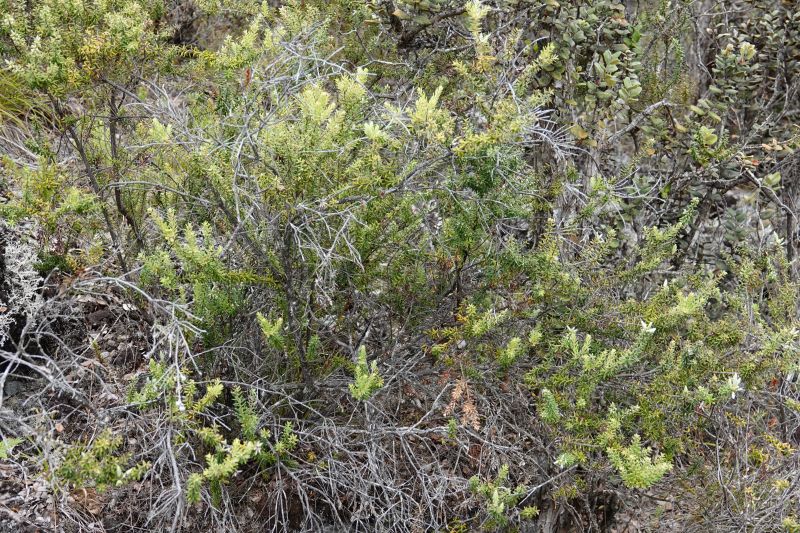 Viewing photos→2025→2025-07-25→05