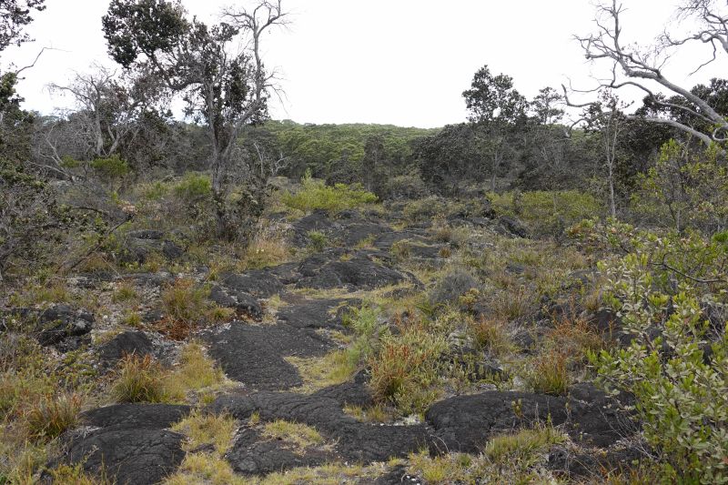 Viewing photos→2025→2025-07-25→07