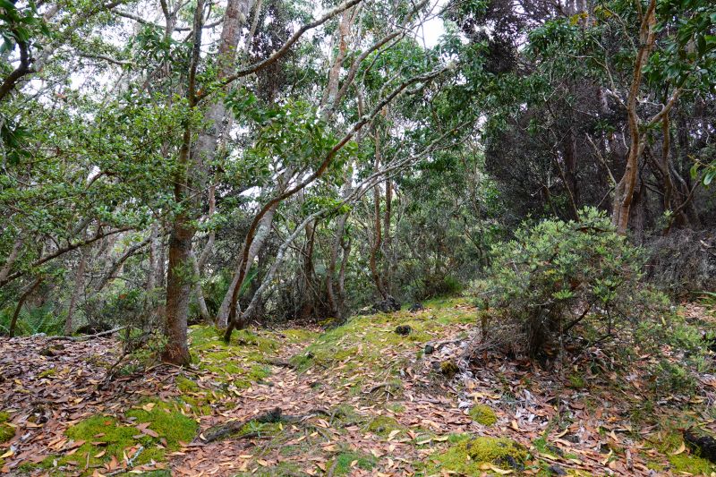 Viewing photos→2025→2025-07-25→09