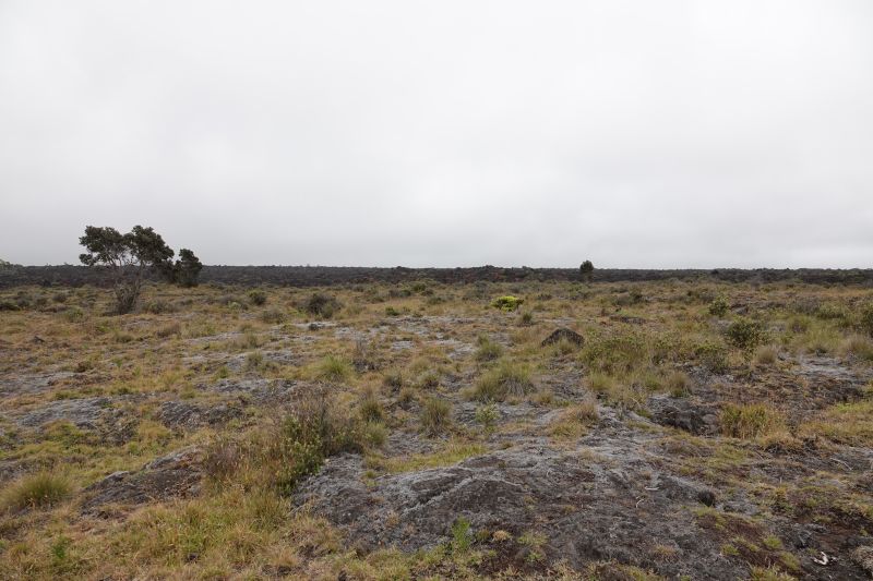 Viewing photos→2025→2025-07-25→10