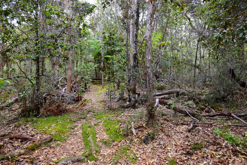 Viewing photos→2025→2025-07-25→11