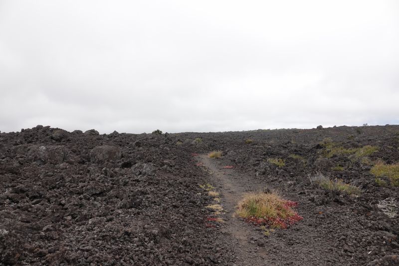 Viewing photos→2025→2025-07-25→13