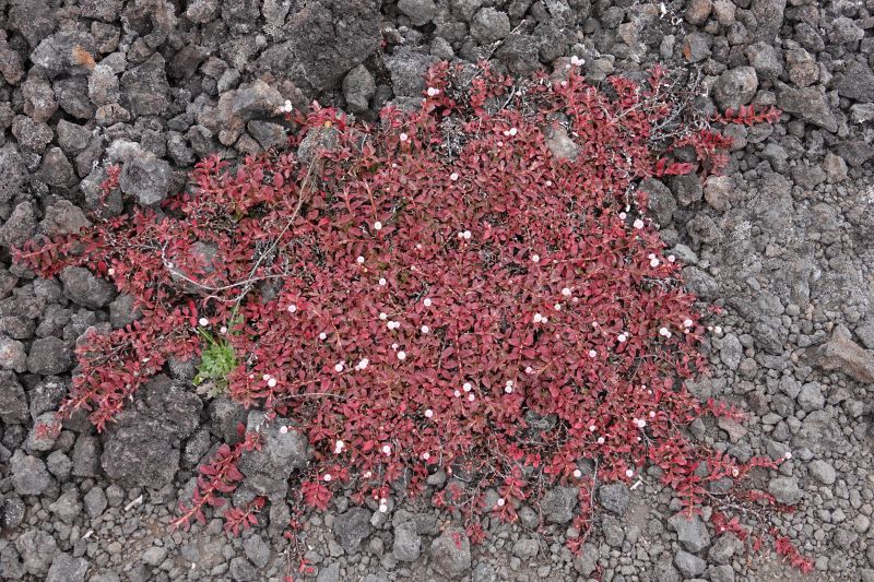 Viewing photos→2025→2025-07-25→14