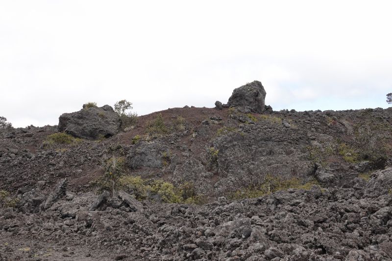 Viewing photos→2025→2025-07-25→16