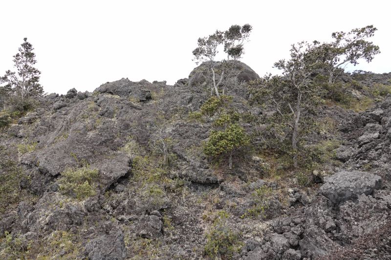 Viewing photos→2025→2025-07-25→19