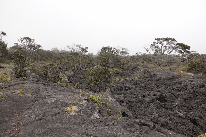 Viewing photos→2025→2025-07-25→22