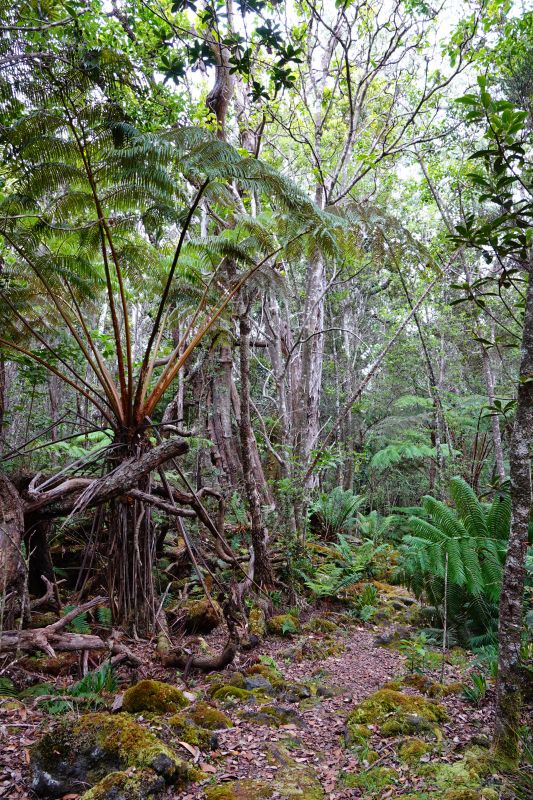 Viewing photos→2025→2025-07-25→23