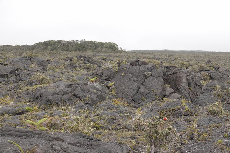 Viewing photos→2025→2025-07-25→26