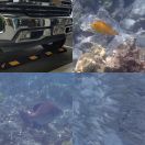 2025-07-27 - 2025-07-29<br/>
<b>Kona Region, Hawaiʻi</b>
