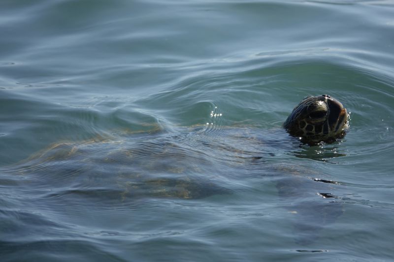 Viewing photos→2025→2025-07-27→03