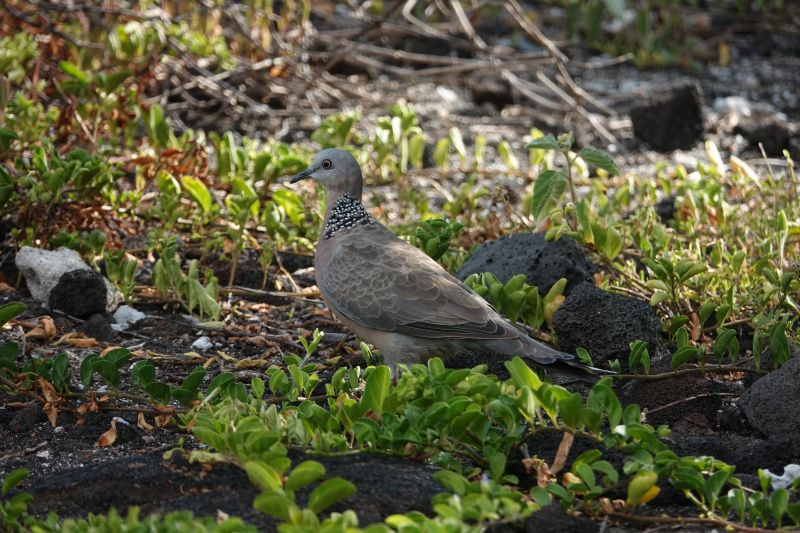 Viewing photos→2025→2025-07-27→10