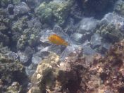 19.jpg - 2025:07:29 23:44:23