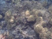 21.jpg - 2025:07:29 23:44:41